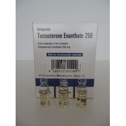 TESTOSTERONE ENANTHATE 250 (250mg/1ml.) IRAN - 50 amps